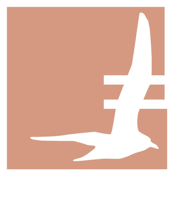EFR_E_Logo_orange
